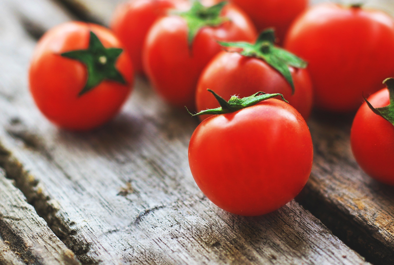番茄溃疡病预防措施方法
