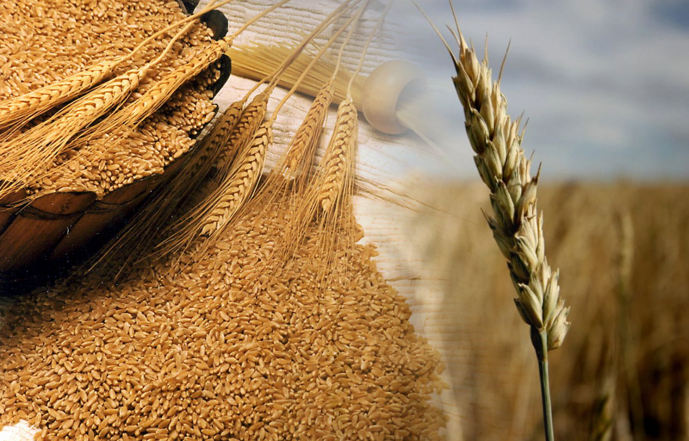 小麦复合肥的最佳配方
