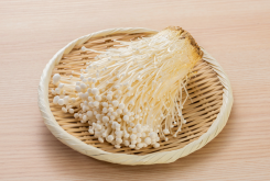 <strong>金针菇的种植方法介绍</strong>