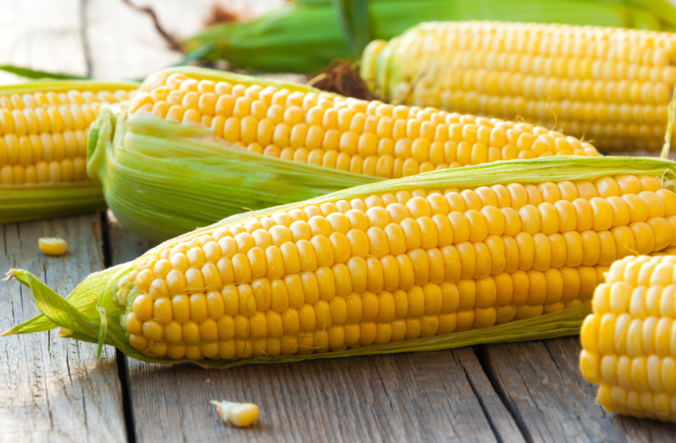 水果玉米亩产量一般多少斤？