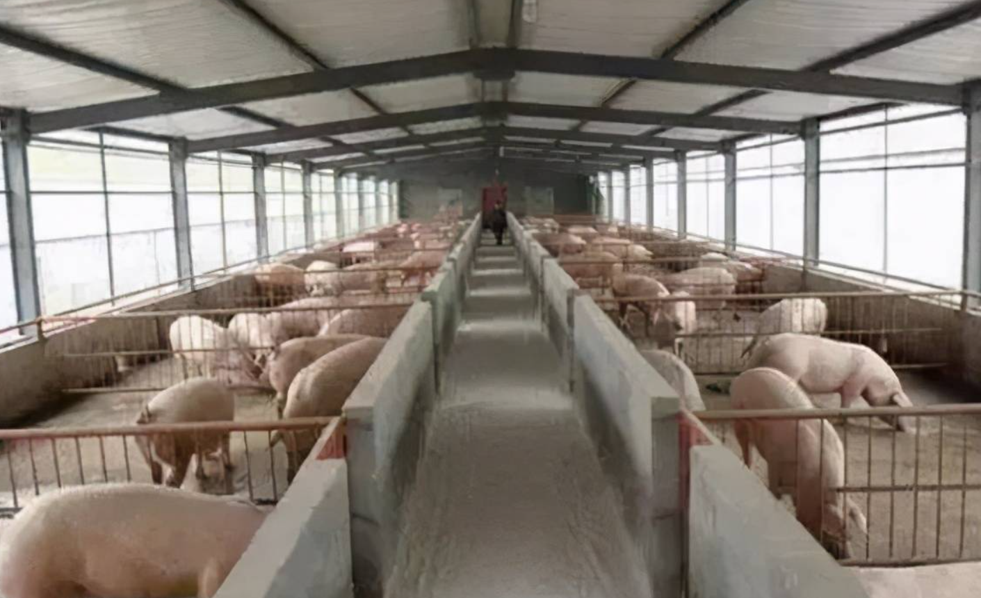 养猪场空气净化处理方式有哪些？