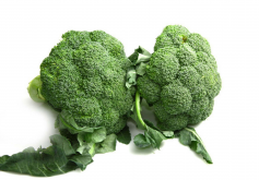 <strong>西兰花种植时间和种植条件</strong>