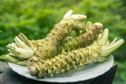 <strong>山葵和芥末的区别，两者分别有那些特点？</strong>