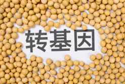 <strong>转基因农作物的定义，转基因农作物的特点及法律相关介绍</strong>