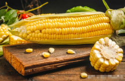 <strong>鲜食糯玉米一年三茬种植技术讲解</strong>