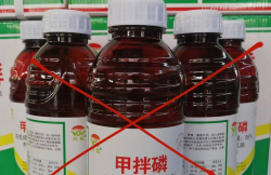 <strong>农药3911是什么农药？</strong>