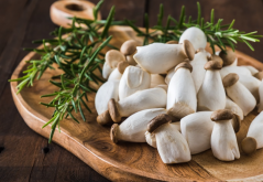 <strong>生活中常见的食用菌种类和形态特点？</strong>