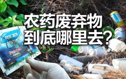 <strong>过期的农药应该怎么处理？为什么不能随意丢掉？</strong>