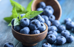 <b>种植蓝莓需要什么条件？有哪些要求？</b>