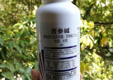 <strong>杀虫蛋白的基因和分类都有哪些？</strong>