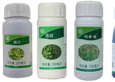 <strong>不能直接皮肤接触的农药类型有哪些？</strong>