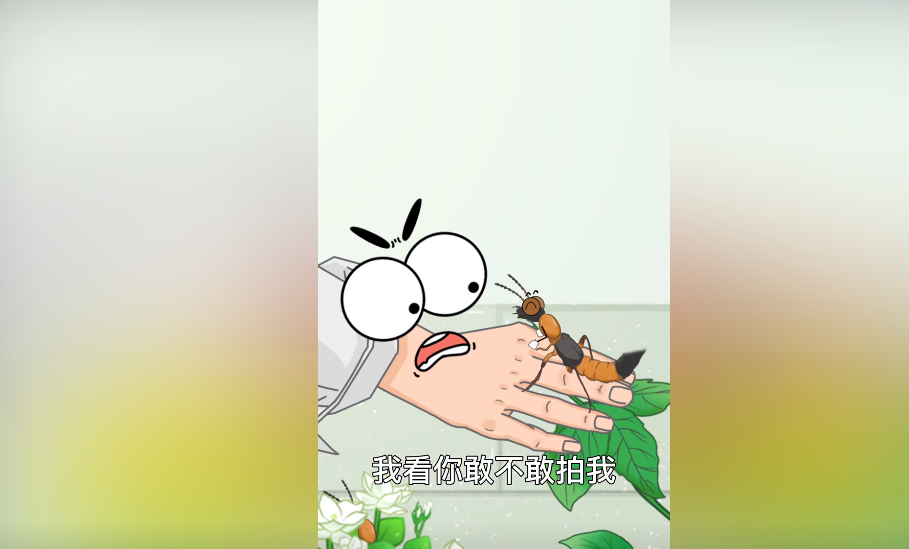 隐翅虫是什么,被隐翅虫咬了咬注意什么,为什么不能用手去拍打隐翅虫