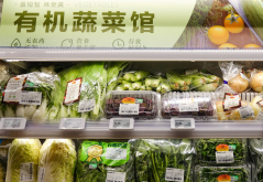 <strong>有机食品的相关概念指的是什么？</strong>