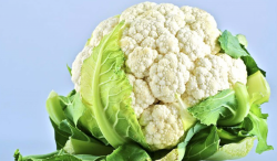 <strong>花菜种植中如何施肥？有哪些技术要点？</strong>