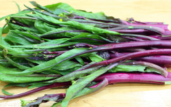 <strong>红菜苔病虫害防治方法？有哪些需要注意的？</strong>