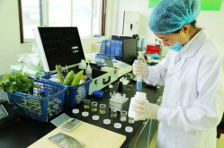 <strong>农药常用的遗传毒性检测方法是什么？</strong>