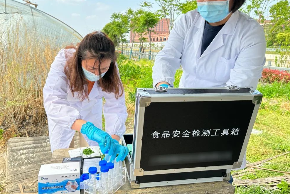农药遗传毒性测验的主要内容有哪方面?