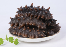 <strong>可食用的海参有几种？哪些经济价值比较高？</strong>