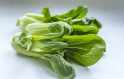 <strong>小白菜对土壤有哪些要求，常见的病虫害有哪些？</strong>