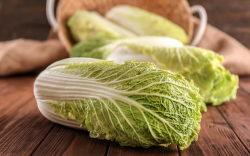 <strong>小白菜苗床育苗和育苗盘育苗有哪些特点和区别？</strong>