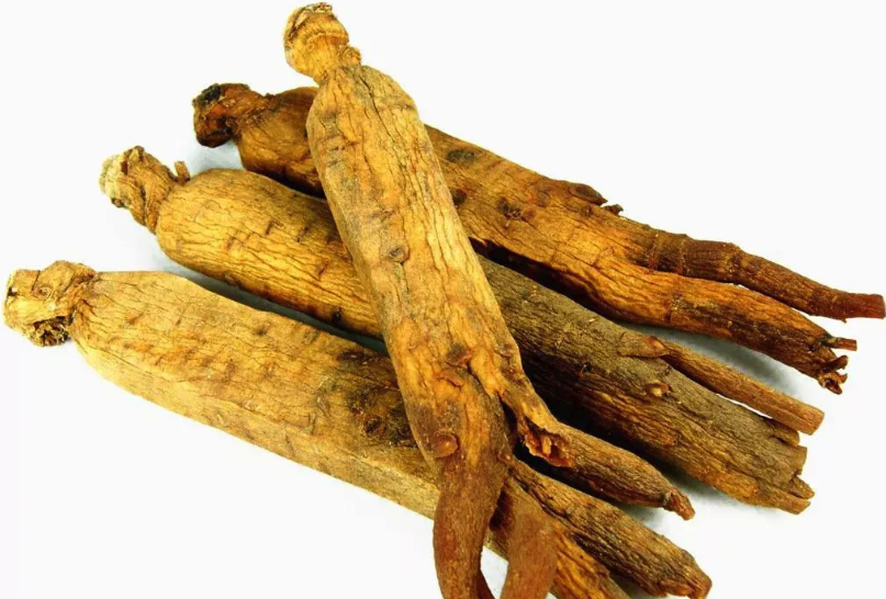 高丽参和人参有哪些区别,有哪些营养价值?
