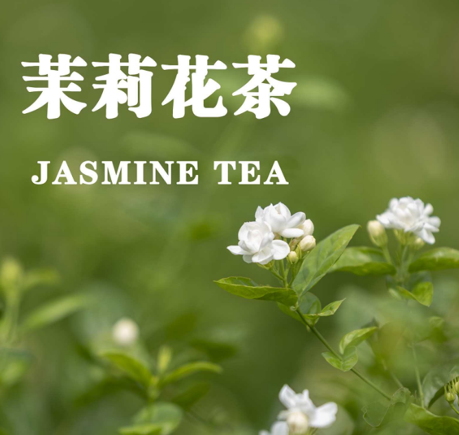 茉莉花茶是绿茶吗?