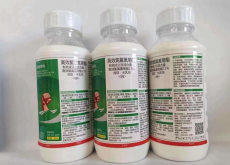 <strong>功夫菊酯是哪种农药，喷施需要注意什么？</strong>