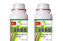 <strong>溴氰菊酯可以消灭蟑螂吗，使用过程中需要注意什么?</strong>
