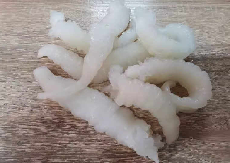 常见的动物胶有哪些,是如何制作的?