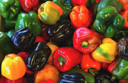<b>彩色甜椒的常见品种有哪些，有什么特点？</b>