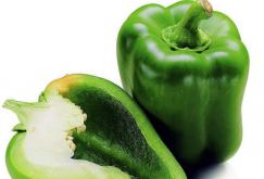 <b>巴拿马彩色甜椒有哪些经济价值和营养价值？</b>