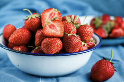 <b>章姬草莓在大棚种植和露天种植那个更好？</b>