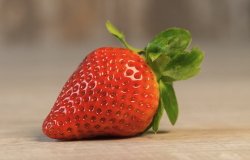<b>章姬草莓有哪些营养价值，生长周期多久？</b>