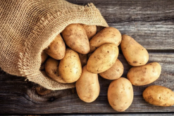 土豆出芽有哪些毒素，可以用来喂鸭吗？