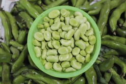 <strong>蚕豆的营养价值和大豆的营养价值哪个高？</strong>