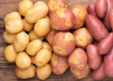 黄心土豆和白心土豆有哪些区别和特点?