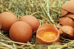 <b>鸡场产蛋记录表有哪些作用?</b>