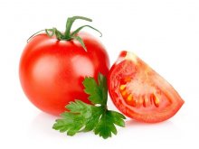 番茄幼苗种子发黄是什么原因