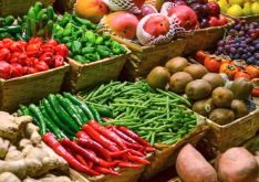 <b>蔬菜作物抗虫基因的作用机理是什么样的</b>
