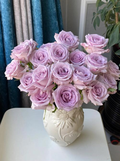  海洋之歌玫瑰的花语