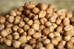 <b>鹰嘴豆对氮肥的需求量怎么样？</b>
