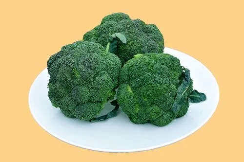 种植西兰花最适宜的温是多少呢?