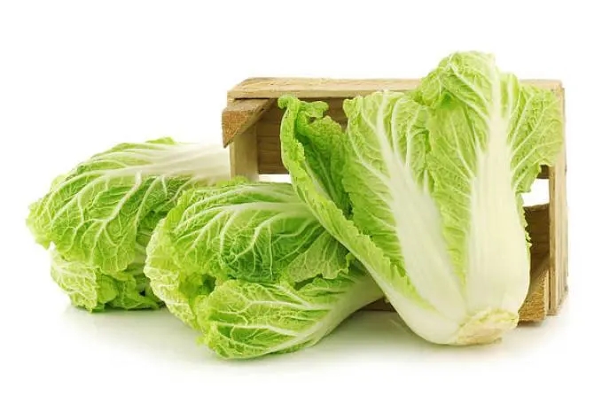 请问大白菜的亩产量是多少公斤？