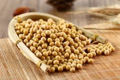 <strong>大豆蛋白质含量测定，大豆的蛋白质含量是多少？</strong>