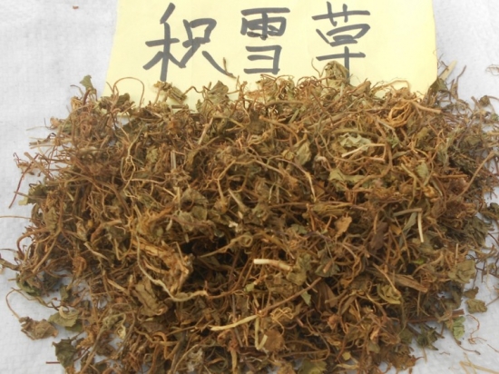 中药积雪草：清热利湿，消肿解毒；治痧气腹痛，疔痈肿毒，跌打损伤等