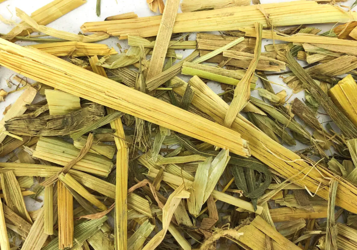 燕麦鲜草的营养价值怎么样?