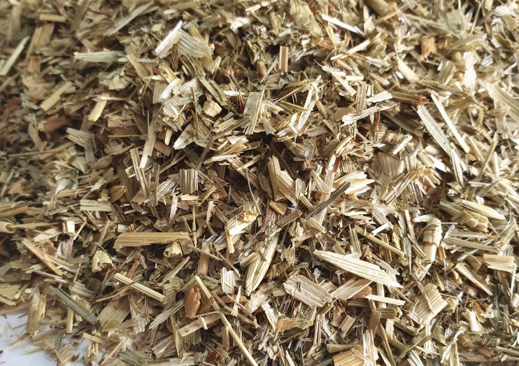 燕麦鲜草的营养价值怎么样?