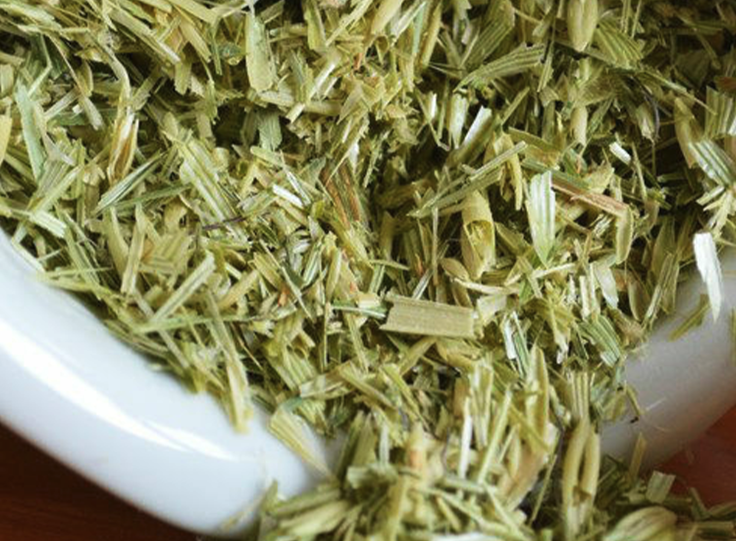 燕麦适合和哪些牧草混播?