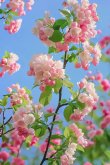 <b>海棠花可以剪下来养在花盆里吗？能活多久？怎么养</b>
