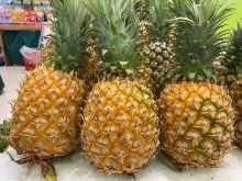 <b>菠萝怎么处理才不扎嘴而且还甜没酸味</b>